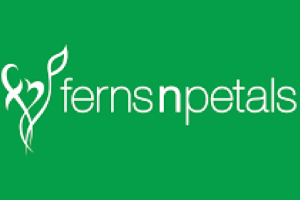 FernsNPetals